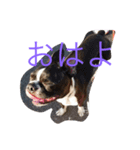 akotty（個別スタンプ：2）
