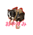 akotty（個別スタンプ：3）