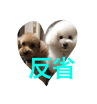 akotty（個別スタンプ：6）