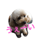 akotty（個別スタンプ：7）