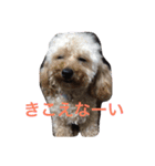 akotty（個別スタンプ：8）