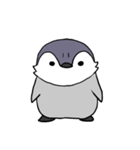 ユーキペンギンのぺんぺん（個別スタンプ：1）