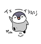 ユーキペンギンのぺんぺん（個別スタンプ：15）