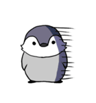 ユーキペンギンのぺんぺん（個別スタンプ：17）