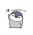 ユーキペンギンのぺんぺん（個別スタンプ：21）
