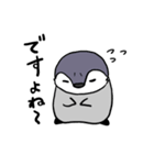 ユーキペンギンのぺんぺん（個別スタンプ：31）
