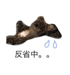 ビンゴとももの日常(トイプードル)（個別スタンプ：6）