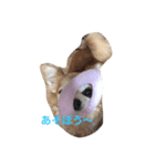 りるねね（個別スタンプ：2）