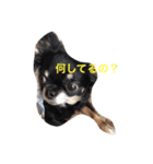 りるねね（個別スタンプ：5）