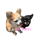 りるねね（個別スタンプ：6）