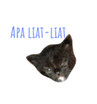 Miaw's（個別スタンプ：3）