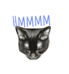 Miaw's（個別スタンプ：5）