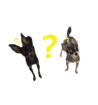 three brothers dog part 2（個別スタンプ：2）