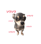 three brothers dog part 2（個別スタンプ：6）