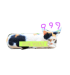 CatGet（個別スタンプ：2）