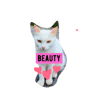 CatGet（個別スタンプ：3）