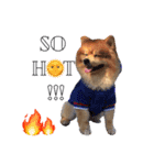 FILLKYLOVEYOU（個別スタンプ：3）