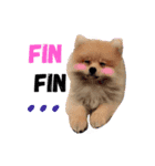 FILLKYLOVEYOU（個別スタンプ：5）