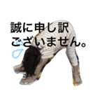 ゆずももeveryday（個別スタンプ：3）