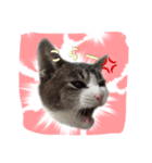 mimi7.1（個別スタンプ：2）