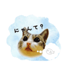 mimi7.1（個別スタンプ：3）