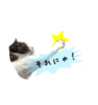 mimi7.1（個別スタンプ：4）