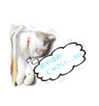 mimi7.1（個別スタンプ：8）