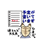 はな＆すみじ Ⅱ（個別スタンプ：17）