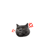 癒しをささげるにゃんこたち（個別スタンプ：15）
