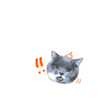 癒しをささげるにゃんこたち（個別スタンプ：16）