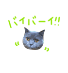 癒しをささげるにゃんこたち（個別スタンプ：18）
