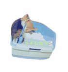 ねこネコちゃん（個別スタンプ：3）