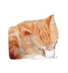 ねこネコちゃん（個別スタンプ：7）