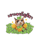 Kingdomoftigers 2017（個別スタンプ：4）