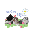 Kingdomoftigers 2017（個別スタンプ：9）