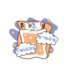 Kingdomoftigers 2017（個別スタンプ：23）
