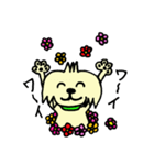 マルチーズのハニー（個別スタンプ：8）