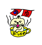 マルチーズのハニー（個別スタンプ：16）