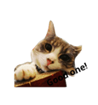happy cat..（個別スタンプ：4）