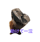 くいしんぼいっちー（個別スタンプ：5）