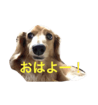 くいしんぼいっちー（個別スタンプ：8）