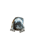 Jack Russell Terrier's（個別スタンプ：16）