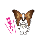 わんころらいふ〈パピヨン〉（個別スタンプ：13）