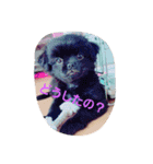 わんこの一言（個別スタンプ：4）