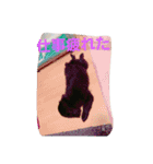 わんこの一言（個別スタンプ：11）