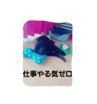 わんこの一言（個別スタンプ：12）