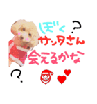 MerryX'masうにくん（個別スタンプ：1）