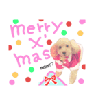 MerryX'masうにくん（個別スタンプ：4）