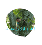 ibuking-（個別スタンプ：6）