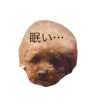 しゃくれのRANちゃん（個別スタンプ：2）